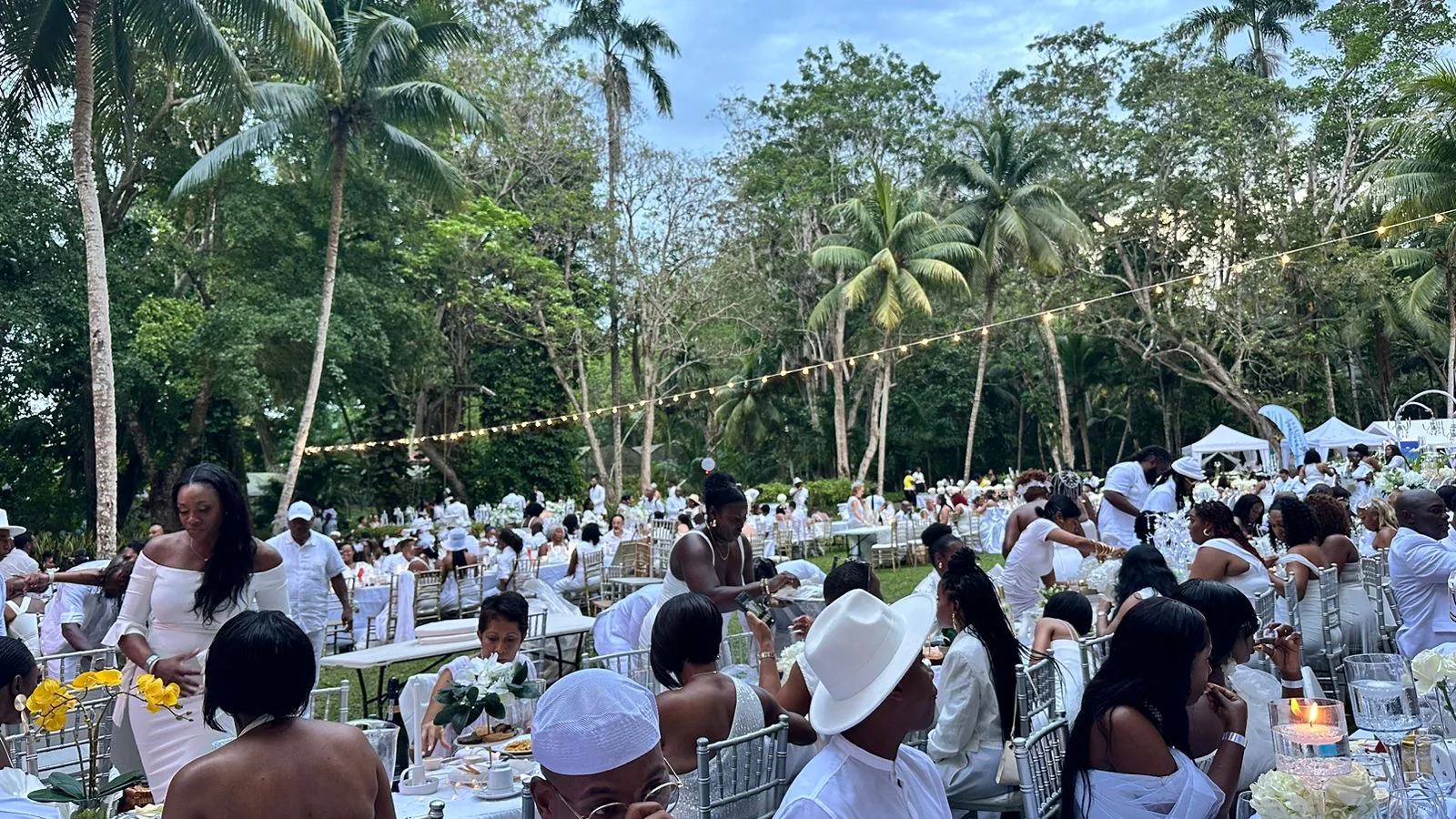 Elegance Under the Stars