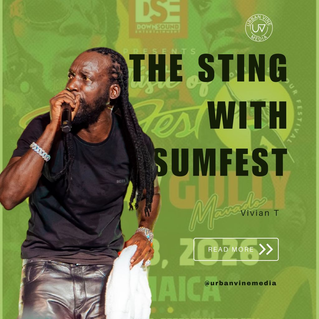 Sumfest.Where Did You&nbsp;Go???